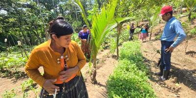 Mujeres Q’eqchi’ cultivan esperanza y alimento en Ixcán