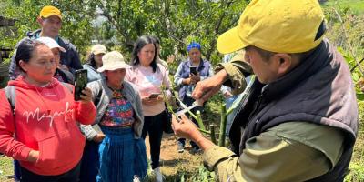 Capacitan a promotoras rurales en manejo fitosanitario de árboles frutales