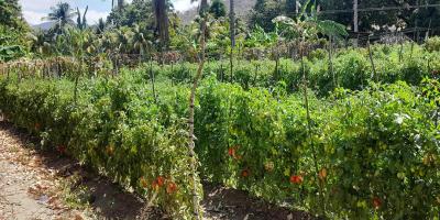 Continúan las variaciones climáticas por lo que se monitorean 192 municipios