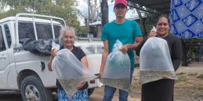 Entrega de alevines fortalece acuicultura en Petén 