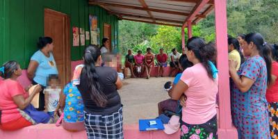 Fortalecen huertos familiares en Melchor de Mencos