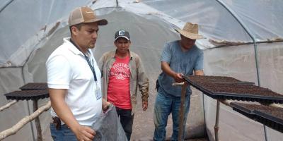 Fortalecen la agricultura familiar con producción tecnificada de hortalizas