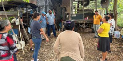 Fortalecen producción avícola de grupos de mujeres de El Chal