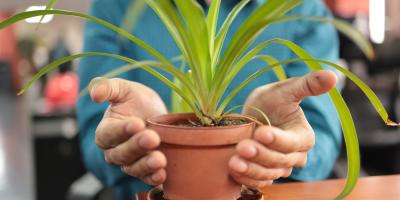 Guatemala integra el ambiente en su política fiscal con nueva dependencia