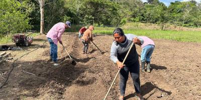 Preparan la tierra para cultivar chile en San Luis