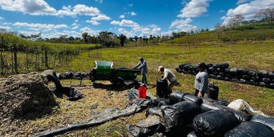 Productor transforma su finca gracias al modelo de ganadería sostenible
