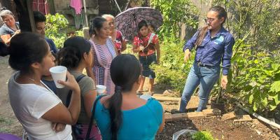 Productores altenses tecnifican siembras con plántulas de alta calidad