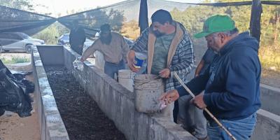 Productores de Chimaltenango fortalecen la fertilidad de sus cultivos con abono orgánico