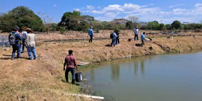 Productores de zacapanecos intercambian experiencias en acuicultura en la Costa Sur