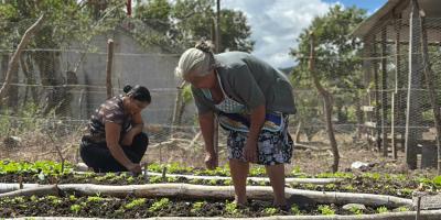 Promueven producción de hortalizas con huerto comunitario