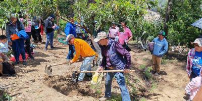 Nuevas tecnologías agrícolas fortalecen la cadena de frutas en San Marcos