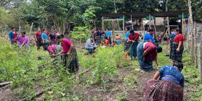 Siembra de hortalizas fortalece huerto comunal en Cruce Semuy 