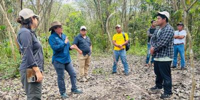Verifican avances en áreas de restauración en La Palotada