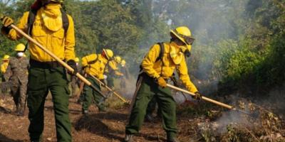 III Simulacro Nacional de Incendios Forestales fortalece la respuesta interinstitucional en Petén