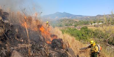 INCENDIO PASTIZAL