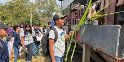 La experiencia que conecta a los estudiantes con la producción de alimentos