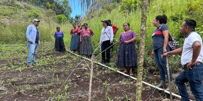 Trabajo conjunto fortalece huertos de familias de San Luis