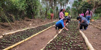 Establecen en Quezaltepeque un huerto comunitario con cultivos mejorados