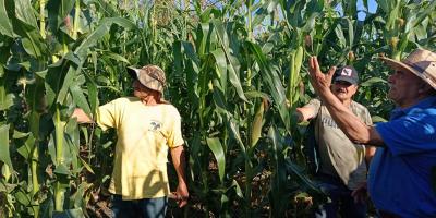 Impulsan la conservación de semilla nativa de maíz en Jalapa