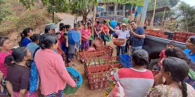 Una oportunidad para alimentar mejor a la familia