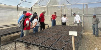 Convenio tripartito fortalece la seguridad alimentaria de familias en Chuarrancho
