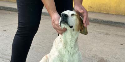 El compromiso empieza en casa