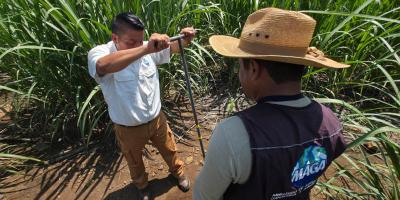 Avanza levantamiento de muestras de suelo en Escuintla