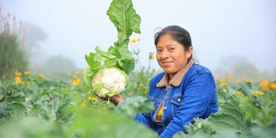 Cuidar la tierra es cuidar la vida