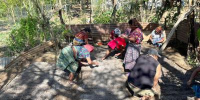 Establecen huerto comunitario en Salamá e inician producción de hortalizas