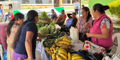 Colores y frescura: Feria del Agricultor de Alta Verapaz celebra la abundancia de la agricultura
