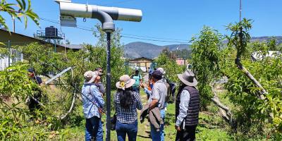 Fruticultores de Tejutla fortalecen conocimientos en el manejo de cultivos deciduos