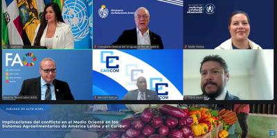 Guatemala participa en diálogo de alto nivel por impacto global en la seguridad alimentaria