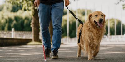 Guían con amor, lealtad y valentía