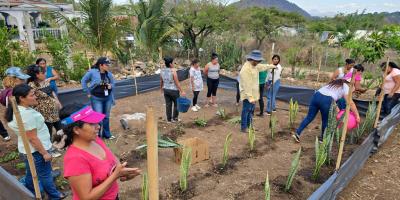 Implementan huerto medicinal con grupo CADER de Quesada