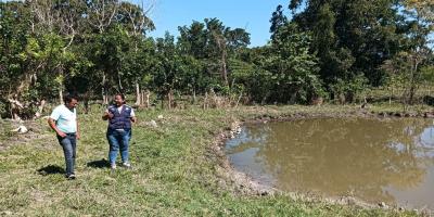 Impulsan cultivo de tilapia en Petén