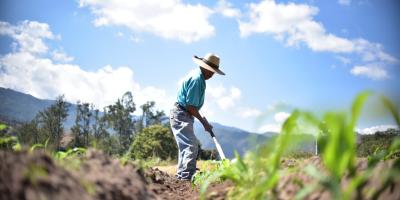 Incrementa el calor y disminuyen las lluvias