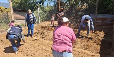 Los huertos que transforman hogares