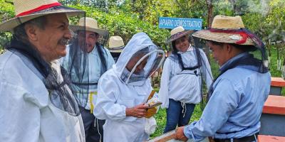 Mejoran la cadena de valor apícola en Tejutla