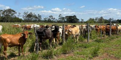 Monitorean 113 municipios ante el impacto de altas temperaturas 