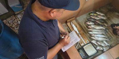 Monitorean especies pesqueras de Río Dulce