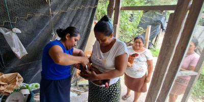 Protegen a gallinas ponedoras de CADER en Petén