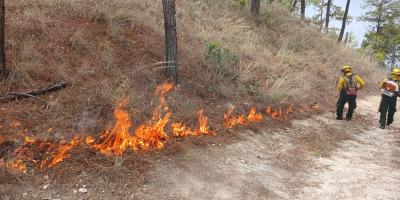 Protegen áreas boscosas de Zacapa ante incendios forestales