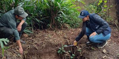 Proyectos comunitarios mejoran la alimentación y generan ingresos familiares