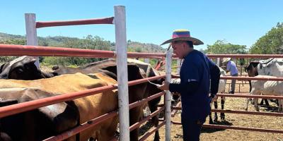 Refuerzan acciones de prevención del Gusano Barrenador en Jutiapa