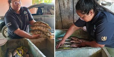 Séptimo monitoreo biológico fortalece evaluación de especies pesqueras en Petén