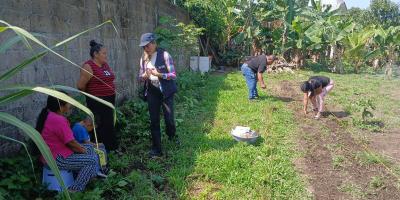 Sembrando y aprendiendo, comunidad cultiva sus alimentos