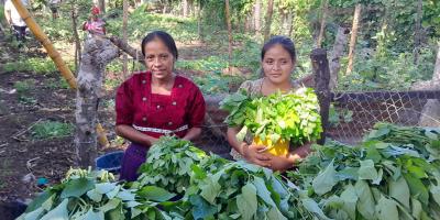 Verifican aplicación de prácticas y resultados en huertos comunales de San Marcos