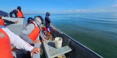 Verifican cumplimiento de veda de langosta en el Caribe guatemalteco