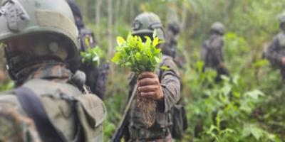 Ejército de Guatemala intensifica acciones contra el narcotráfico en Petén.