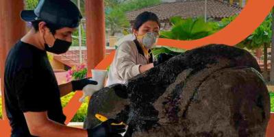Parque de La Democracia, limpieza y cuidados de monumentos